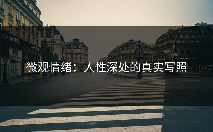 微观情绪:人性深处的真实写照 微观情绪:人性深处的真实写照